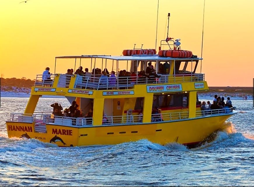 Dolphin Cruise with Olin Marler's Charter Fishing & Dolphin Cruises